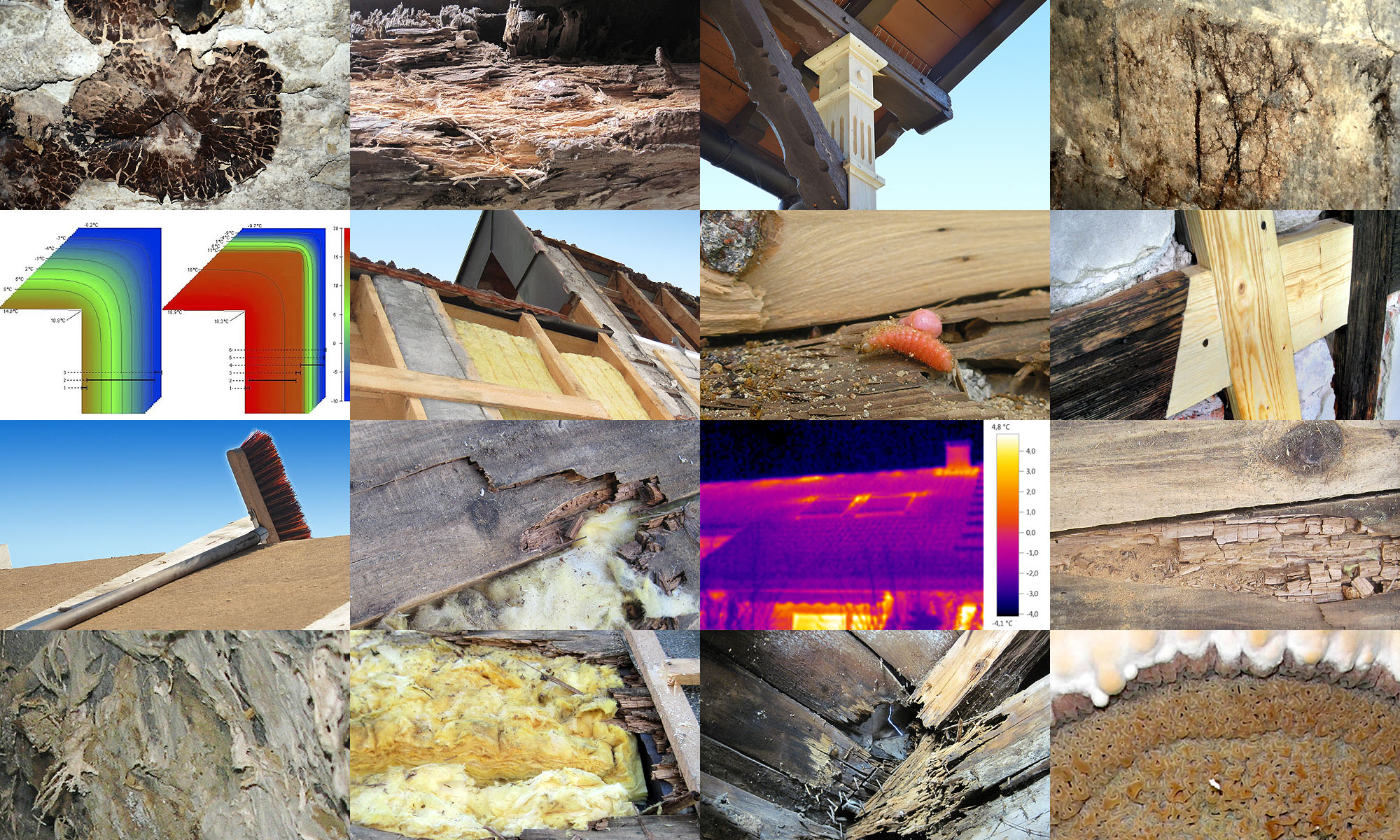 Bau-Sachverständiger im Bereich Zimmerei / Arbeitsbeispiele Schadensaufnahme für Gutachten